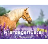 Pferdegeflüster - Der Pferdekalender - 2026 - Kalender DIN A3: Der Wandkalender mit den schönsten Pferde-Motiven für das Jahr 2026 im Format DIN A3 (ca. 42 x 30 cm)!