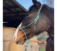 Pferdelinis Knot Halter for Floor Work Horse - Knot Halter Cob Ideal for Free Work, Floor Work, Lead or Loading Training (Warmblood (Full), Green/White)