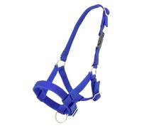 PFIFF 103101 Alpaca Halter "Pako", Adjustable Size for Alpacas, with Clip Closure, Dark Blue