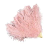 PFIOEUL Feather Dance Fan Feathers Fan Party Wedding Celebration Belly Dance Show DIY Decorative 13 Bones Feathers Fan(Blue,2PCS Left hand)