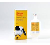 Pfizer Blackleg Vaccine to Stimulate Immunity Against Blackleg - 50ml Bottle