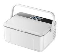 Pfjyc Portable Insulin Medicine Fridge with Handle, 2~8℃ High Capacity Double Layer Insulin Case Cooler Car Refrigerator (Size : 13600mAh Battery x 2)