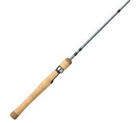 Pflueger President Spinning Fishing Rod