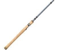 Pflueger President Spinning Fishing Rod