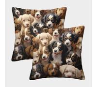 PFQHUAIDH Border Collie 3D Printed Throw Pillow Case Furniture Decorative Square Pet Dogs Cushion Cover Set of 2 for Home Livingroom Couch Bed Sofa Decorate 45x45cm