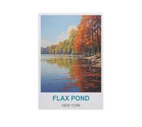 PGCKSK 5D DIY Diamond Painting Kit,Flax Pond New York,Crystal Mosaic Full Drill Round Diamond Painting Embroidery Accessories(40 x 50 cm/15.74 x 19.68 inches)-GF81