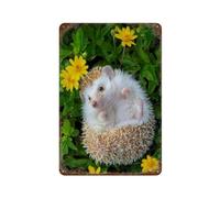 PGCKSK A little hedgehog in the flower garden,Tin Sign Vintage Retro Man Cave Bar Pub Shed Novelty Gift Aluminium Metal Tin Wall Décor Sign,20 x 30 cm (8 x 12 inch)-T79