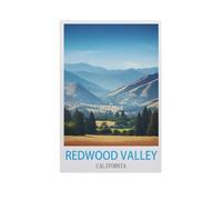 PGCKSK DIY 5D Diamond Painting Kits，Redwood Valley California，Diamond Painting for Beginner Adults Rhinestone Numbered Diamond Arts Home Wall Decor（30 x 40 cm/11.81 x 15.74 inches）-GG93
