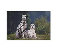 PGCKSK Two Dalmatian Dog，DIY 5D Diamond Digital Painting Toolkit Crystal Rhinestone Embroidery Cross Stitch Arts Craft Canvas Wall Decoration（30x40cm）-207