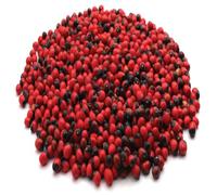 PGD Natural Chirmi Red Gunja Seeds Beads | Rosary pea, Crab's eye, jequirity bean Seeds | Gurinvida Beads Ratti Gumchi Madhuyastika for Pooja (40+ Pieces) God ganesha Lakshmi Mahakali Saraswati puja