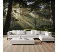 Pggong Misty Forest Wall Murals, 250x175 cm Mural, Jungle Tyndall Effect Silk Fabric Mural Wallpaper, Nature Landscape Self-Adhesive Wallpaper Poster Decoration for Living Room Bedroom