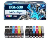 PGI-530 Ink Cartridges Compatible for Canon Pixma TS8750 TS8751 Printers, With Chip Large Capacity 500 Pages (2 Set)