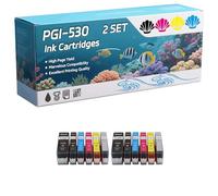 PGI-530 PGI530 Ink Cartridges Compatible for Canon Pixma TS8750 Pixma TS8751 Printers, High-Definition Printing Effect with Chip, 600 Pages (2 Set)