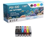 PGI-530 PGI530 Ink Cartridges Compatible for Canon Pixma TS8750 Pixma TS8751 Printers, High-Definition Printing Effect with Chip, 600 Pages (1 Set)