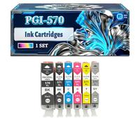 PGI-570 Ink Cartridges Compatible for Canon Pixma MG5700 MG6853a TS6050 MG5722 MG7700 TS6051 MG5750 MG7750 TS6052 MG5751 Printers, With Chip Large Capacity 500 Pages (1 Set)