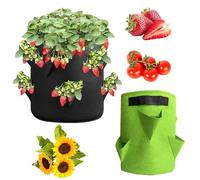 PGKDYC Strawberry Planter, 2 Pack Grow Bags for Strawberries, 7 Gallon Plant Grow Bags with 6 Holes, Thick Felt Material, Ideal for Outdoor and Indoor Planting, 35 * 30cm