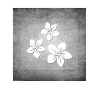 PGVXEM Classic DesignCar Stickers The Racing Track Nurburgring Sticker Car Deca CarWaterproof Auto Sunscreen Car-Sticker KK(B,15cm)