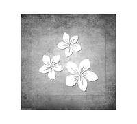 PGVXEM Please Be Patient I'm Funny Car Sticker Coquette Bow for Women Auto Vehicle Bumper Window Door Decor(Dark blue,25cmwidex11cmhigh)