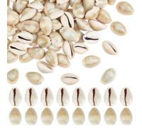 PH PandaHall 100pcs Natural Cowrie Seashells, 20mm Ring Top Cowrie Shell Ocean Beach Shells Small Craft Cowries Ornament for DIY Craft Summer Party Table Hat Costume Decoration, 250g