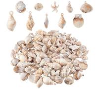 PH PandaHall 100pcs Shell Pendants 10 Styles Acrylic Scallop Pendant Imitation Shells Beach Spiral Shell Charms Summer Pendants with 2mm Loop Hole for Earrings Bracelets Crafts Making