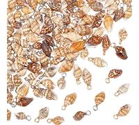 PH PandaHall 100pcs Shell Pendants Spiral Seashells Craft Charms Cowrie Sea Shells Pendant Natural Shell Charms Conch Shells Charm with Loop Bail for Ocean Beach Halloween ChristmasJewellery Making