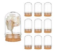 PH PandaHall 10pcs Cloche Bell Jar, Glass Display Dome Mini Glass Dome Decorative Cloche Display Case with Cork Base for Wedding Flower Storage Home Party Favor Decor, 2.2x3.6cm
