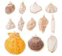 PH PandaHall 12 Styles Natural Shell Charms, 0.8~2.2 inch Electroplated Shell Pendants Seashells Scallop Spiral Shells Sea Shells with Hole for Summer Jewellery Bracelet Jewellery Craft Halloween