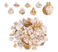 PH PandaHall 120pcs 8 Styles Shell Pendants, Acrylic Scallop Shells Clam Shell Charms Ocean Sea Shells Dangle Charms Beach Seashell Pendants with Hole for Earrings Bracelet Jewellery DIY Craft Making