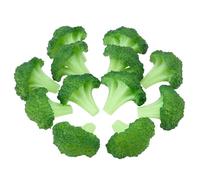 PH PandaHall 12pcs Fake Broccoli Slice, Lifelike Artificial Vegetables, PVC Simulation Faux Broccoli, Realistic Plastic Food Model Props for Kitchen Home Restaurant Dollhouse Decor Photograp