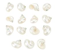 PH PandaHall 15pcs Natural White Shells 2~3cm No Hole Spiral Seashells Natural Satin Turbo Shells for Crafts Vase Fillers Fish Tank Beach Theme Party Wedding Dector Jewellery Making