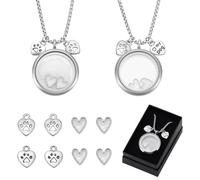 PH PandaHall 2 Sets Dog Fur Hair Keepsake Necklace, Pet Ashes Keepsake Memorial Pet Urn Pendants Stainless Steel Locket Pendant Jewelry Necklace Love Dog Charms for Pets Ashes Fur Storage Gift