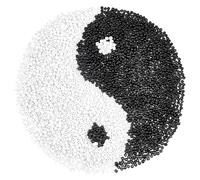 PH PandaHall 2000pcs 6/0 Glass Seed Beads, 4mm Round Loose Beads Mini Spacer Bead Small Craft Waist Bead for Earring Bracelet Necklace Pendants DIY Craft Jewellery Making, White/Black