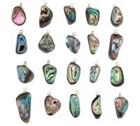 PH PandaHall 20pcs Natural Paua Shell Pendants Golden Abalone Shell Charms with Holes Wire Wrapped Nuggets Charms for Earring Bracelet Necklace Jewellery Making DIY Crafts Beach Summer Decor
