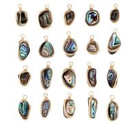 PH PandaHall 20pcs Natural Paua Shell Pendants Light Gold Abalone Shell Charms with Holes Copper Wire Wrapped Nuggets Charms for Jewellery Making Crafts DIY Earring Bracelet Necklace