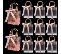 PH PandaHall 24 Packs Clear Handle Gift Bags 15x13x7cm Rectangle Frosted Bag with Pink Ribbon Reusable Plastic Gift Wrap Bags Party Favor Bag for Wedding Bridesmaid Party Favors Guests Gifts