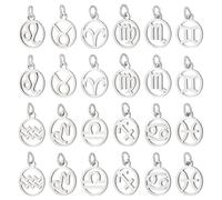 PH PandaHall 24pcs 304 Stainless Steel 12 Constellations Charms Zodiac Sign Pendants Flat Round with Constellation Pendants Astrology Horoscope Charms for DIY Jewellery Craft Making