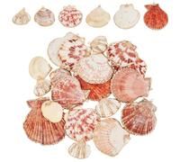 PH PandaHall 24pcs 6 Styles Natural Scallop Shell Pendants, Electroplated Shell Charms Beach Seashells Sea Shells Pendant with Hole for Summer Jewellery Bracelet Jewellery DIY Craft Halloween