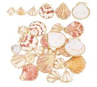 PH PandaHall 24pcs 6 Styles Shell Charms 16~33mm Electroplated Natural Scallop Pendants Ocean Beach Charms Shell Pendants Jewellery Making Kit for Summer Necklace Craft Sea Theme Decoration