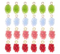PH PandaHall 24pcs Grape Resin Pendants 4 Colors Resin Fruits Charms 3D Raspberry Grape Charms Fruit Shaped Dangle Charm Beads with Loop for Keychains Earrings Jewellery Making DIY Crafts, 19x10mm
