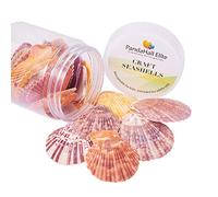 PH PandaHall 25PCS Large Scallop Shells Flat Natural Shell Charms Sea Shells for Crafting DIY Home Beach Wedding Party Decor Vase Fillers, 40~60mm
