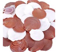 PH PandaHall 40pcs 2~3 inch Natural Scallop Shells, Large Beach Seashells Charm No Hole/Undrilled Scallop Seashell Flat Summer Sea Shell for Beach Themed Party Vase Fillers Jewellery Crafting