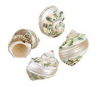 PH PandaHall 4pcs Hermit Crab Shells, 2.1~2.3 inch Natural Large Sea Shells Turbo Seashells Opening Mouth 1~1.1 inch Crab Sea Shell for Fish Tank Beach Party Decoration Crafts Making