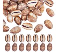 PH PandaHall 50pcs Natural Serpent's Head Cowrie Seashells, 25mm Brown Ocean Beach Shells Small Craft Shell Ornament for DIY Craft Summer Party Table Costume Fish Tank Decoration, 250g