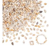 PH PandaHall 540pcs Natural Spiral Sea Shell Beads, 10~15mm Ocean Beach Seashells Drilled Mini Shells Small Shells for Craft DIY Jewellery Making Wedding Home Party Decor Fish Tank Vase Filler, 180g
