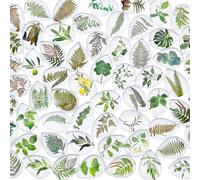 PH PandaHall 60 Styles Plant Teardrop Glass Cabochons Green Plants Theme Cabochons Leaf Flatback Dome Cabochons for St Patrick's Day Craft Photo Pendant Necklace Earring Jewellery Making, 25x18mm