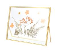 PH PandaHall Glass Pressed Flower Frame 10x8 in Clear Horizontal Photo Frames Rectangle Golden Floating Picture Frame for DIY Dried Flowers Home Plant Specimen Christmas Valentine Decoration