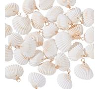 PH PandaHall Natural Seashells Charms, Shell Charms Ocean Sea Beach Seashells with Golden Loop Bail for Summer Jewellery Earrings Bracelets Neclaces Crafts Making Decoration (White, 26~31mm)