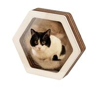 PH PandaHall Pet Hair Keepsake Box 3.8x4.3 inch Wood Memorial Box Hexagon Pug Dog Hair Keepsake Boxes Pet Fur Gifts for Dog Cat Memorial Boxes for Pet Lover Family Friends Storing Hair Teeth Ashes