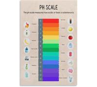 Ph Scale Poster Vintage Acids and Bases Posters, Science Classroom Decor Vintage Laboratory Poster Metal Tin Sign Wall Art Print Poster for Living Room Aesthetic 8x12 inch