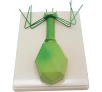 Phage Virus Anatomical Model, Biological Phage Virus Structure Magnification Model, Middle School Biology Teaching Aids, for Science Classroom Study Display